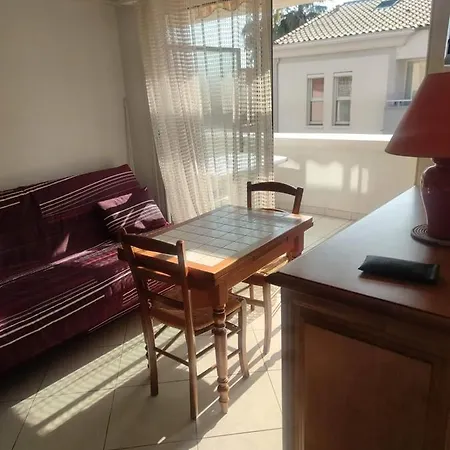 Apartment T2 Clim Avec Terrasse Et Place De Parking Privative *